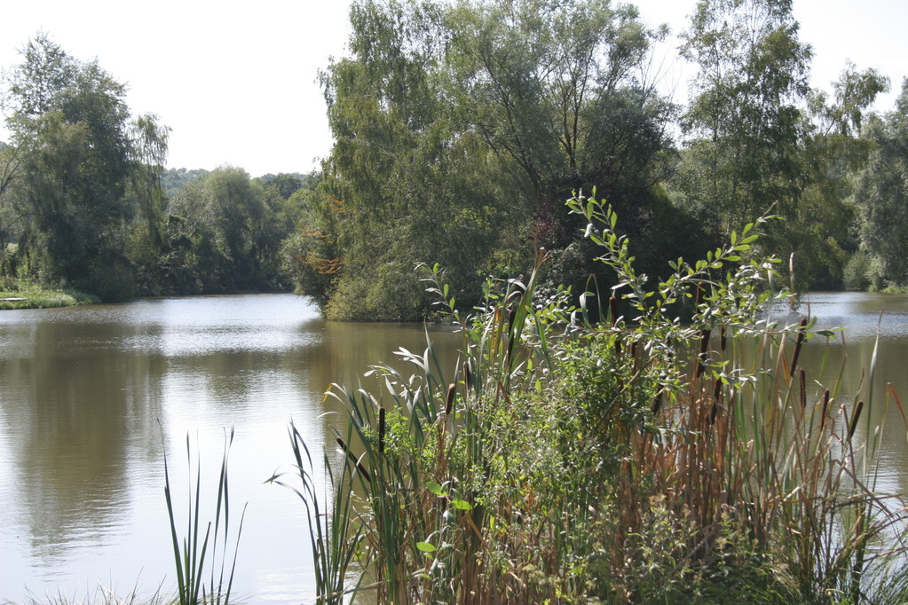 L'Etang