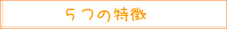 5つの特徴|住まいのお金FP相談室