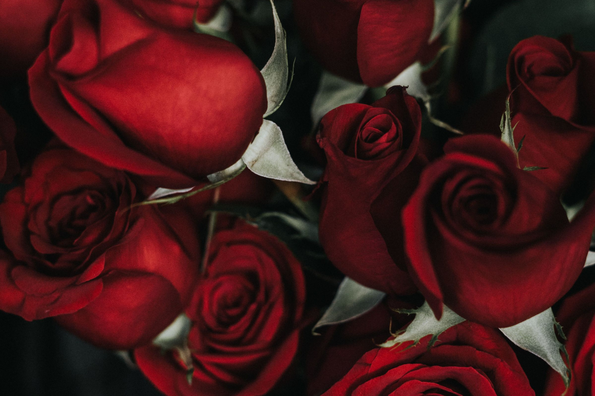 Valentinstag: Der Tag der Liebe und Freundschaft - Eine historische Reise durch die Wurzeln dieses romantischen Festes