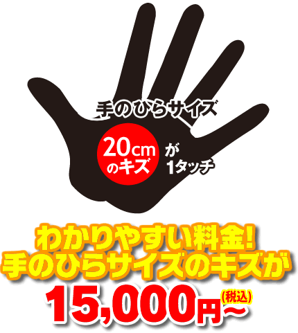 手のひらサイズのキズが12,000円～