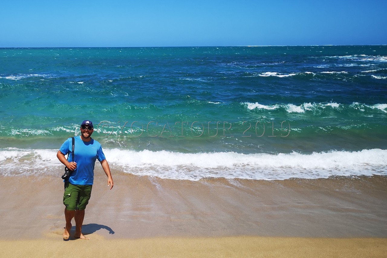 217 la Baie des Tortues Site de yocatour