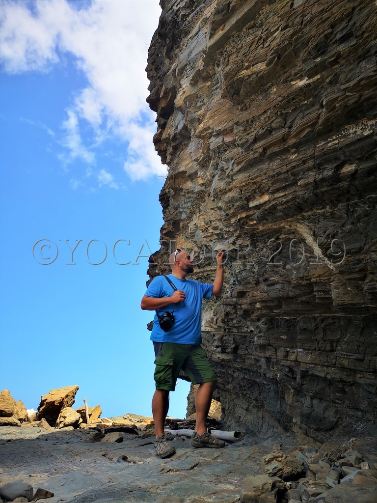 217 la Baie des Tortues Site de yocatour