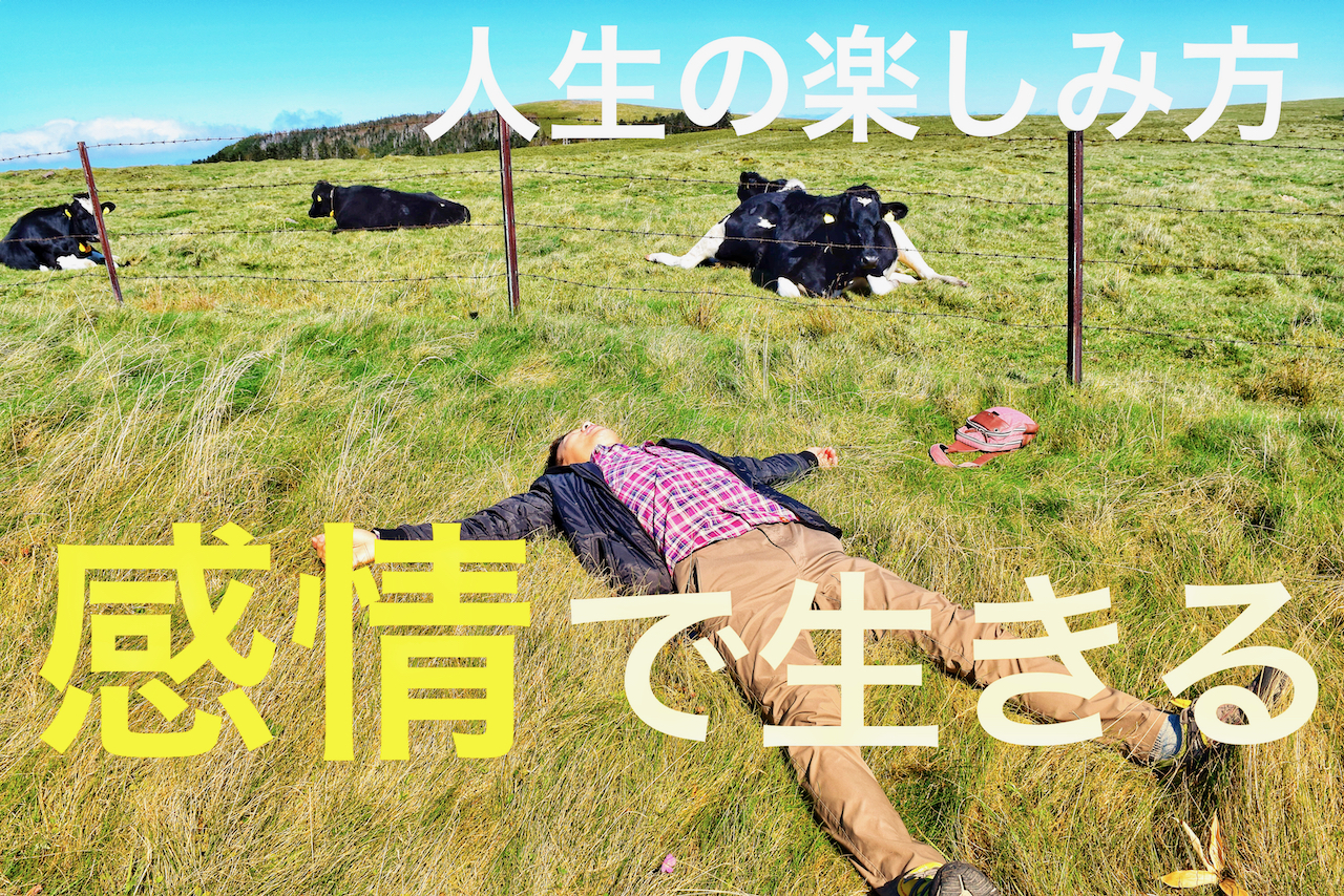 感情を行動基準に生きると人生が楽しくなる