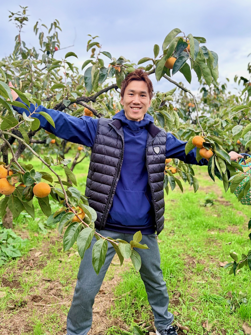 献上柿「富有柿」が買える茨城県石岡市の山田柿園