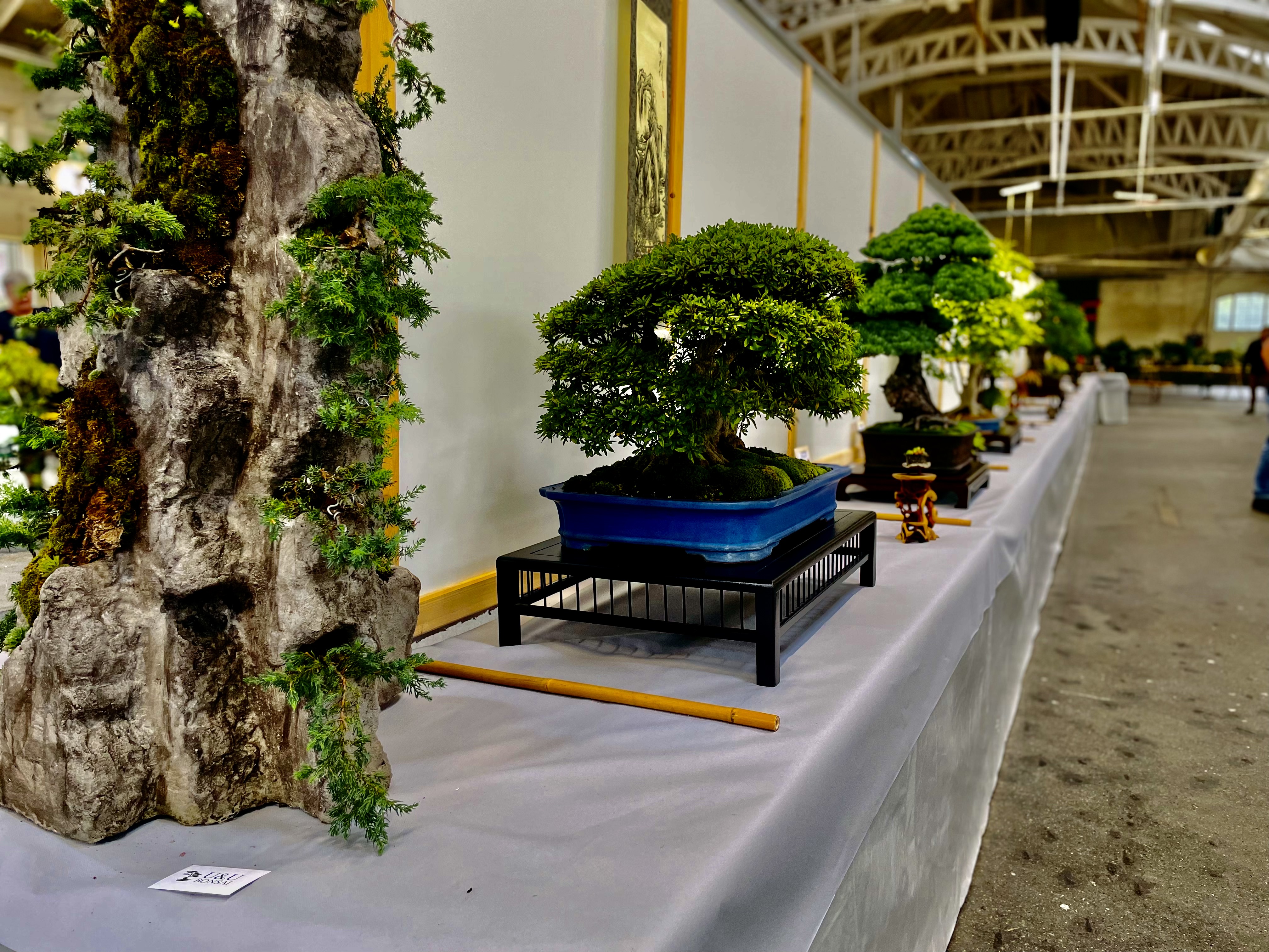 Kontakt - Longvalley Bonsai-Brse Schweiz