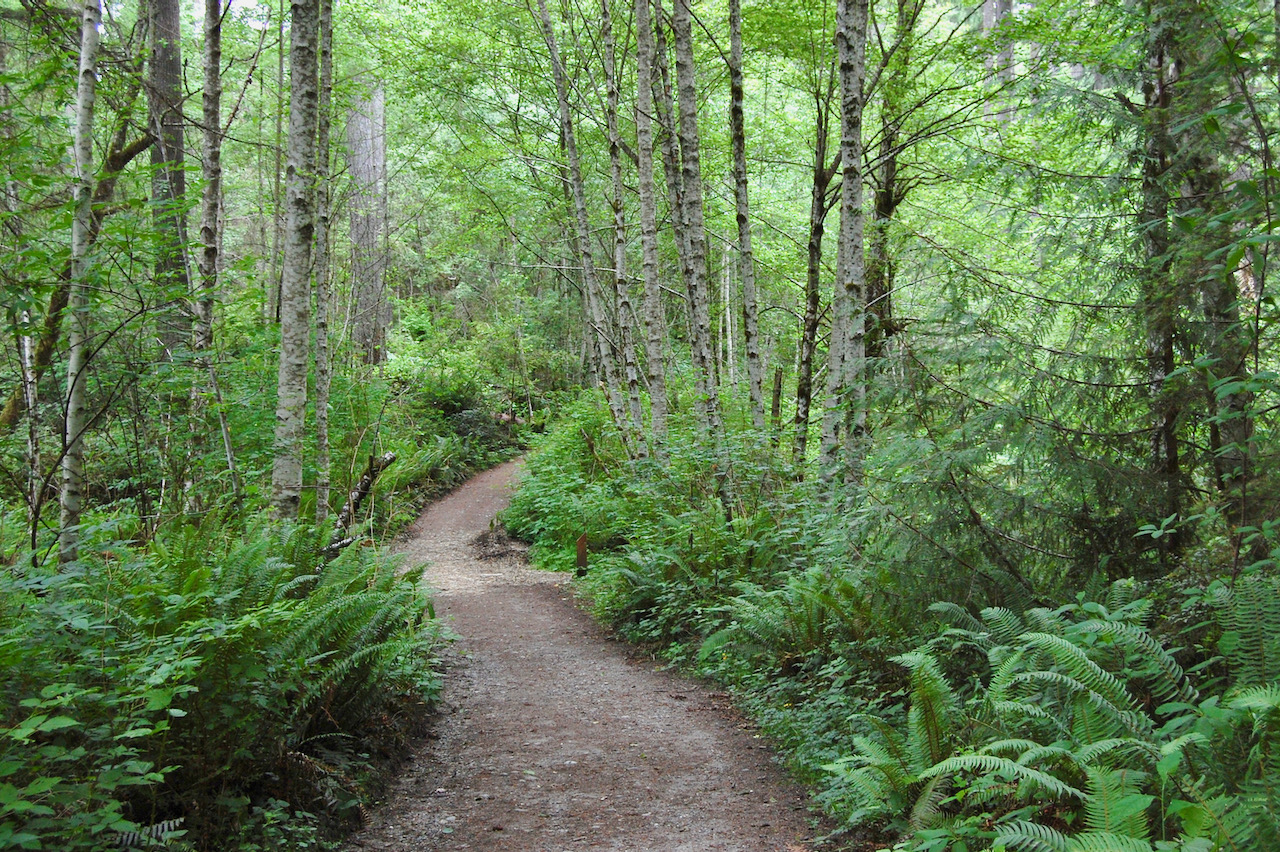 Trail