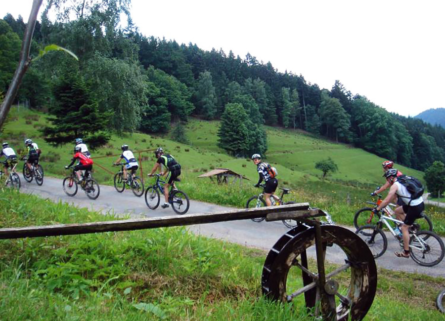 MTB in der Gruppe, mitten im Schwarzwald. Foto: Copyright Ritzelrocker