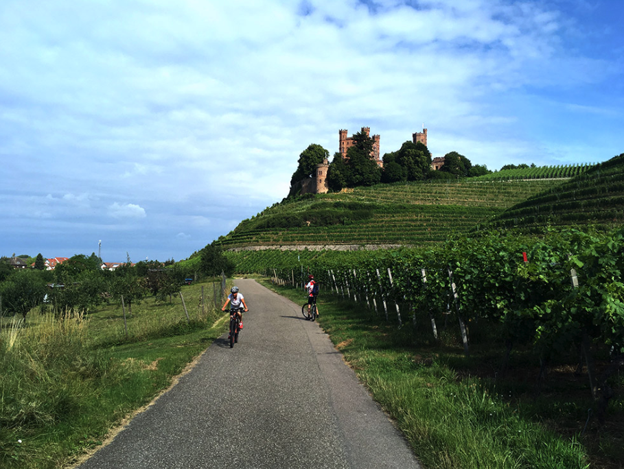 Kinzigtalradweg, bei Ortenberg, Offenburg