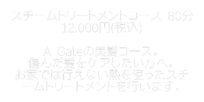 【神戸市 中央区/ヘッドスパ/頭浸浴】 A Gate ヘッドスパ専門店 （エーゲート）のスチームトリートメントコース紹介(文字)