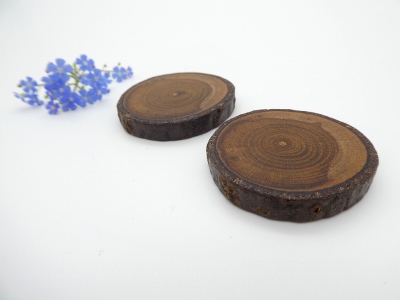2 Magnete aus Goldregen