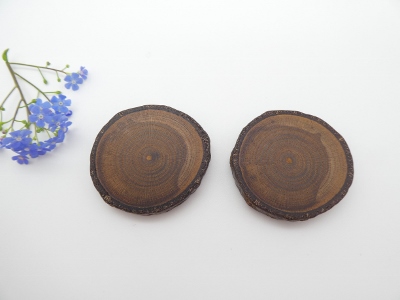 2 Magnete aus Goldregen