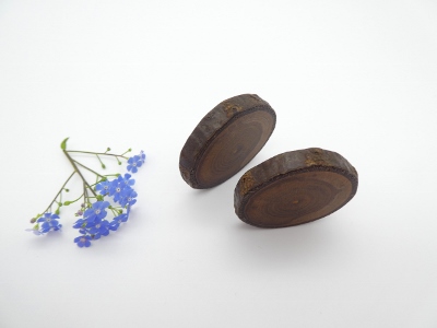 2 Magnete aus Goldregen