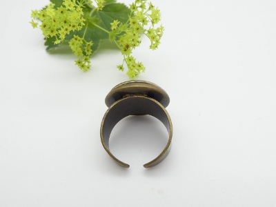 Ring mit buntem Holz in weiss-blau