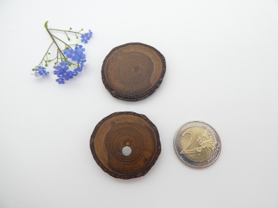 2 Magnete aus Goldregen