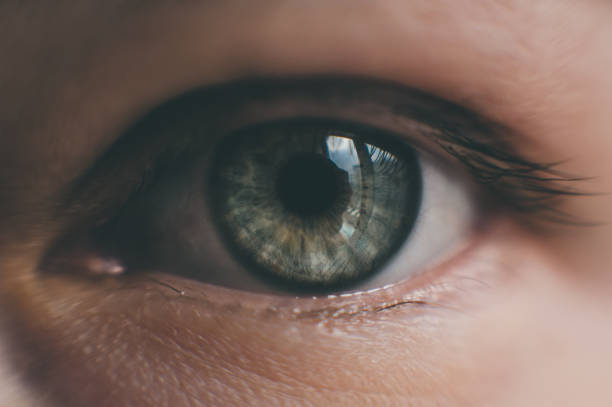 L’EMDR‑IMO expliqué simplement : une boussole pour traverser les tempêtes émotionnelles