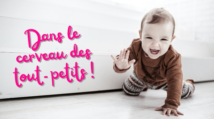 Dans le cerveau des tout-petits