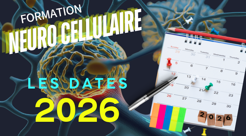 Formation Neuro cellulaire : nouvelles dates 2026