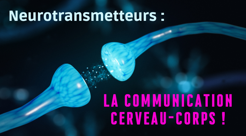 Neurotransmetteurs : la communication cerveau-corps