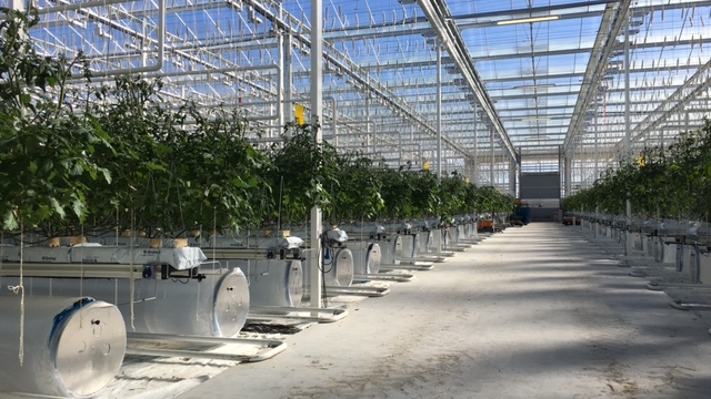 Horticulture and greenhouses