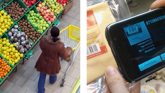 Development of agri-food businesses in international markets