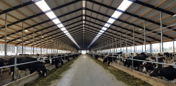 Vreba Dairy is the biggest dairy farm in the Netherlands expanding to 6400 milking cows. They are also investing in manure processing and dairy processing, to ensure an integrated and cir-culated supply chain.