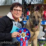 Sieger World-Championat für Deutsche Schäferhunde Obedience Klasse 3