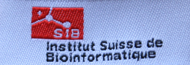 Gewebte Etikette für Kunden Krawatte in drei Farben