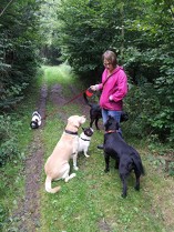 Que faut-il préparer avant de confier son chien à une pension ?