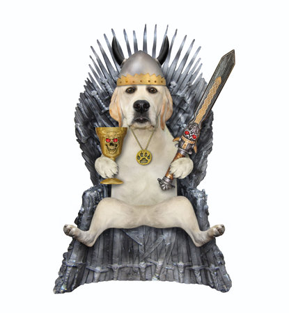 Faut-il vraiment être le chef de meute de son chien ?