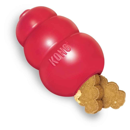 Enrichissement canin : découvrir et exploiter le potentiel des Kongs.