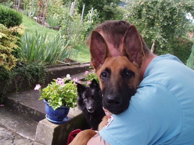 Wolt et Luna