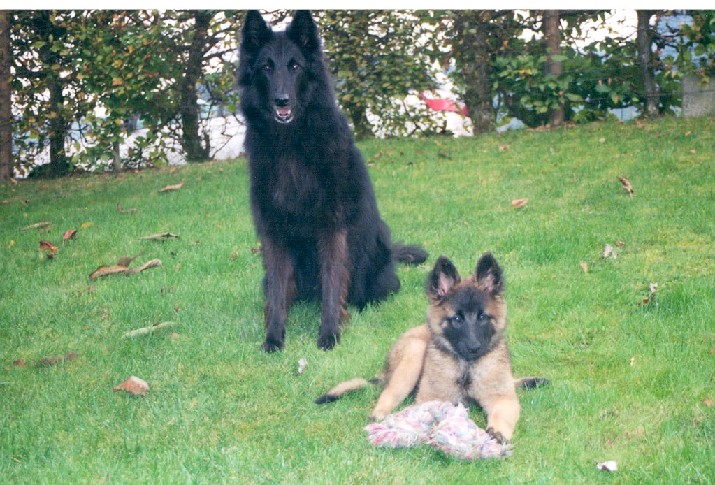 En compagnie de Freya