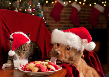 Biscuits de Noël
