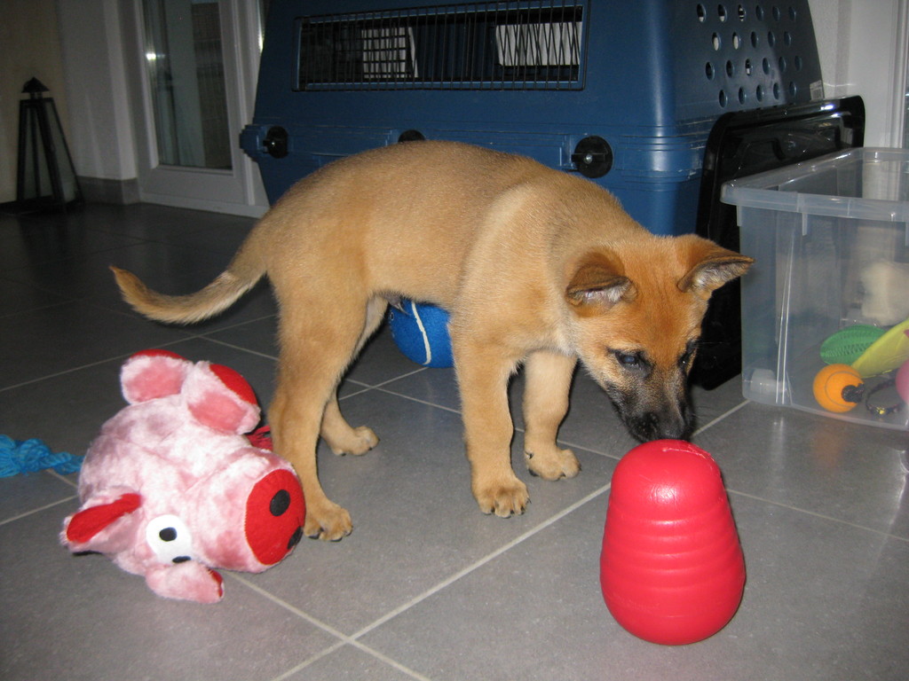 Première journée dans ma nouvelle famille.