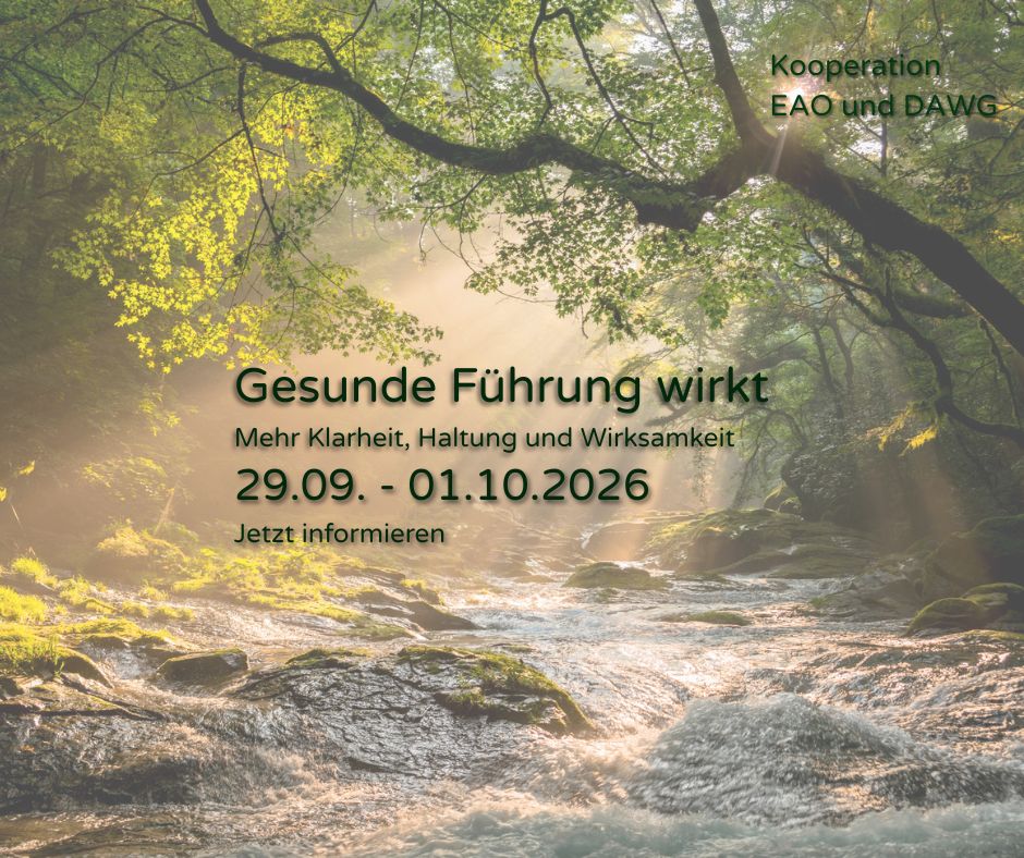 Gesunde Führung wirkt
