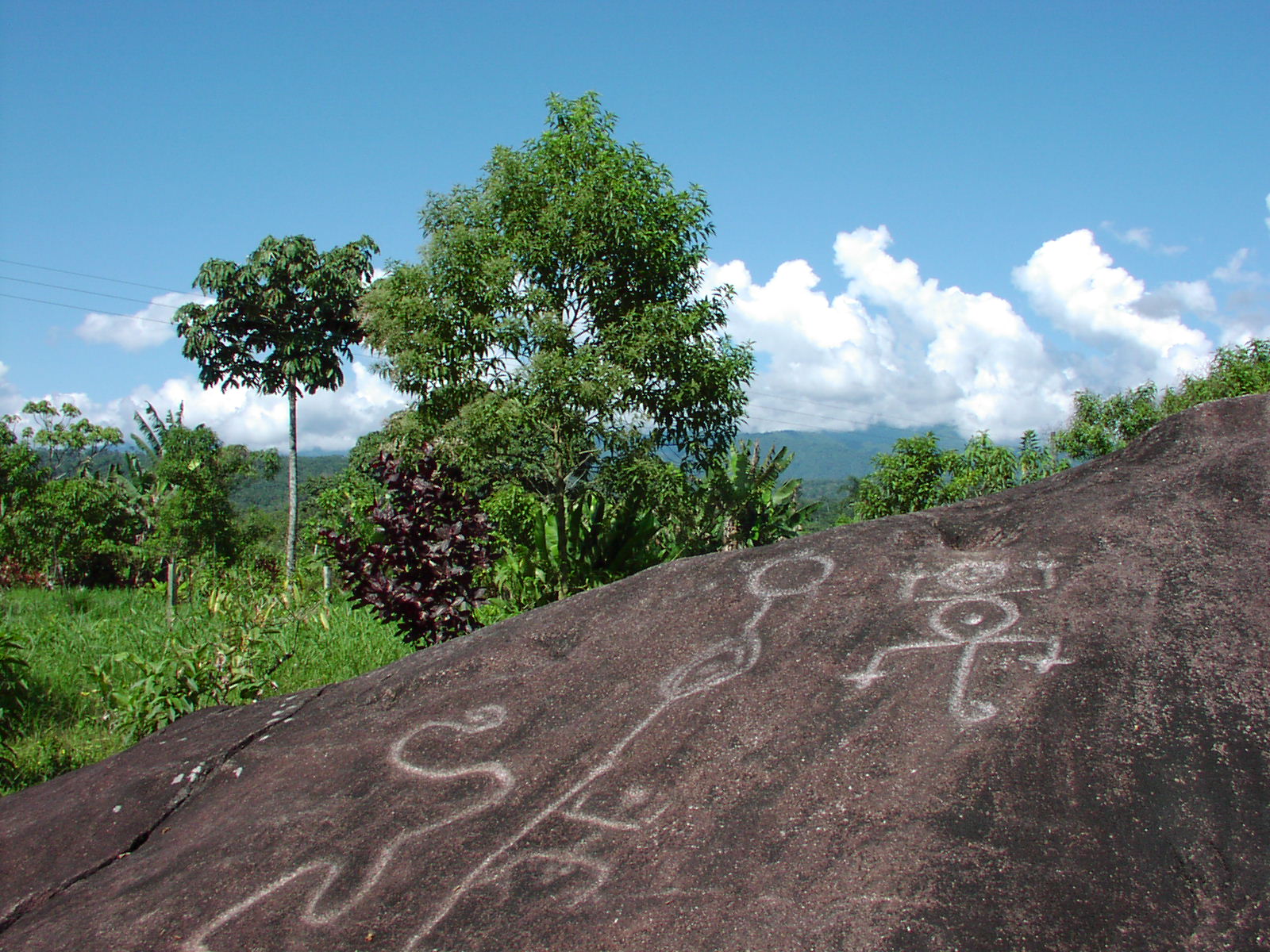 Shamanismo in Gran Sumaco area (Biosphere Reserve)