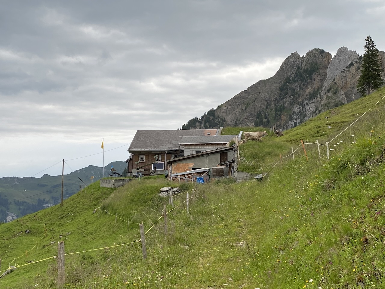 Berggatshaus Biwaldalp