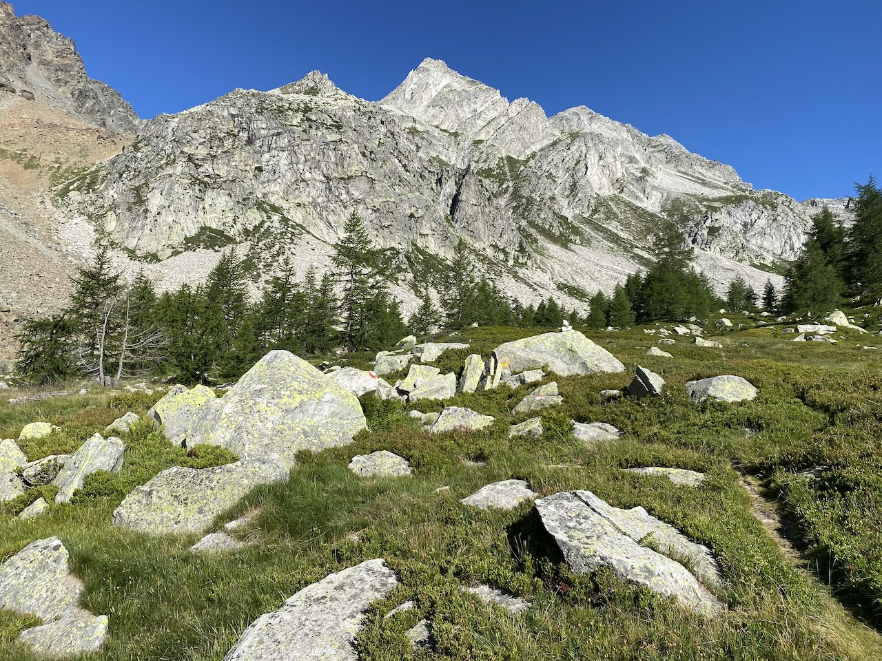 Bei der Alpe di Valdeserta im Aufstieg zum Albrunhorn