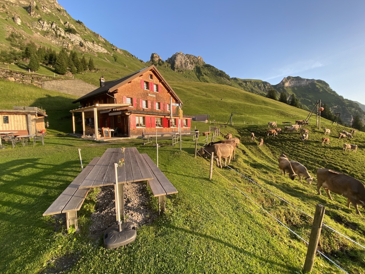 Berggatshaus Musenalp