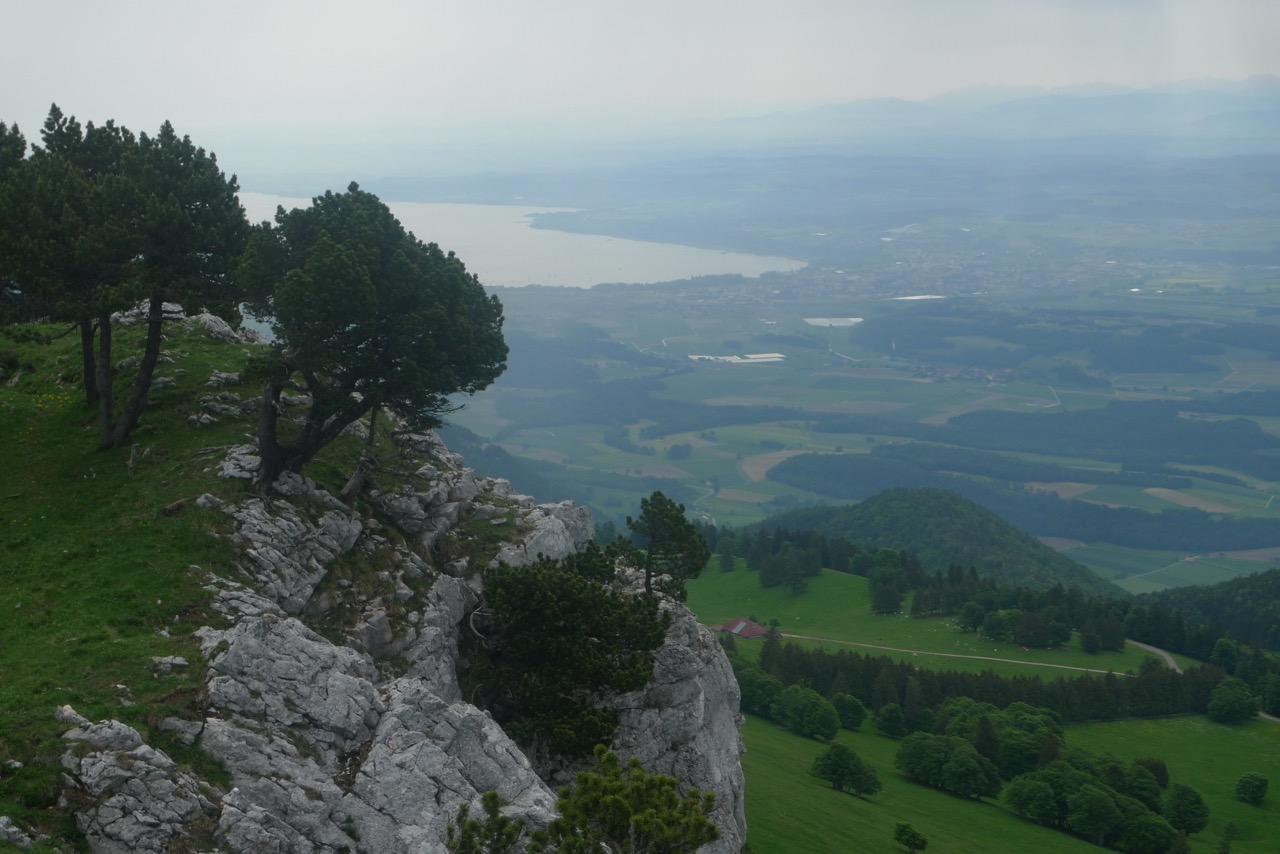 Blick zum Neuenburgersee