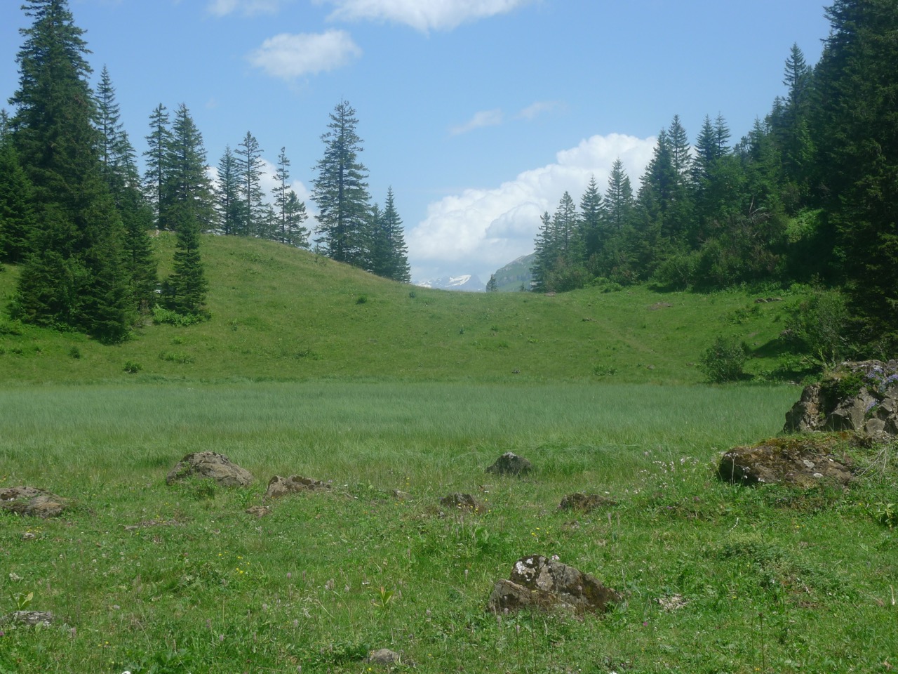 Beim Alpler See