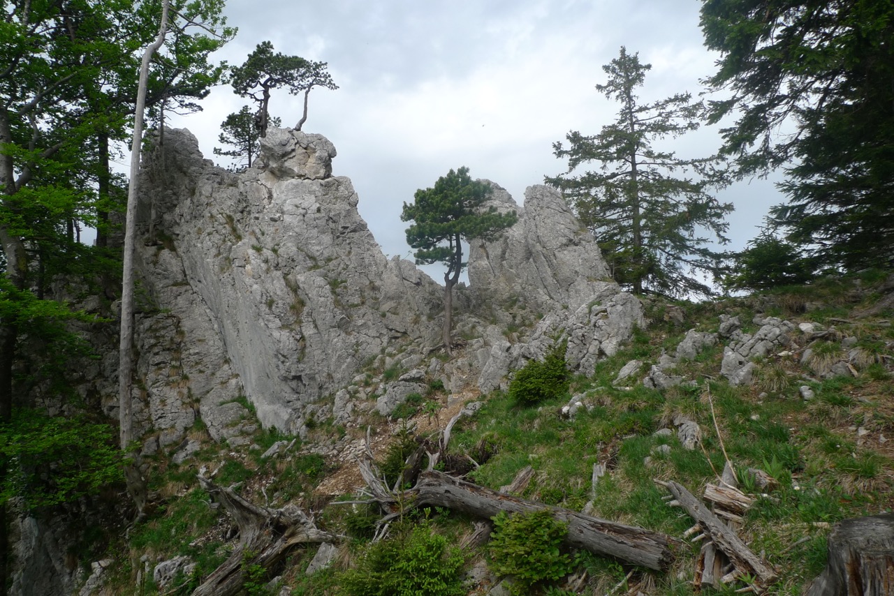 Aufstieg zum höchsten Punkt der Aiguilles de Baulmes