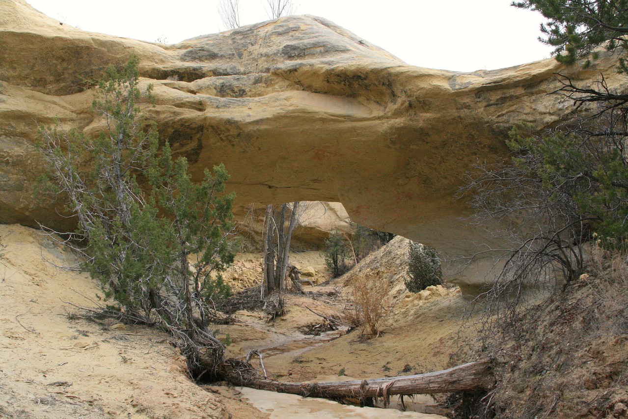 Covered Wagon Natural Bridge Amerika und wandern