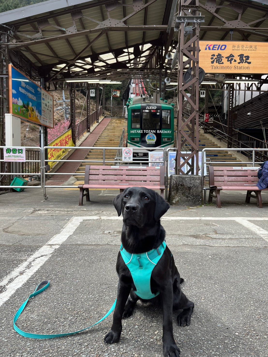 犬連れで御岳山。 - Dog Salon Sealy｜表参道・青山・外苑前の