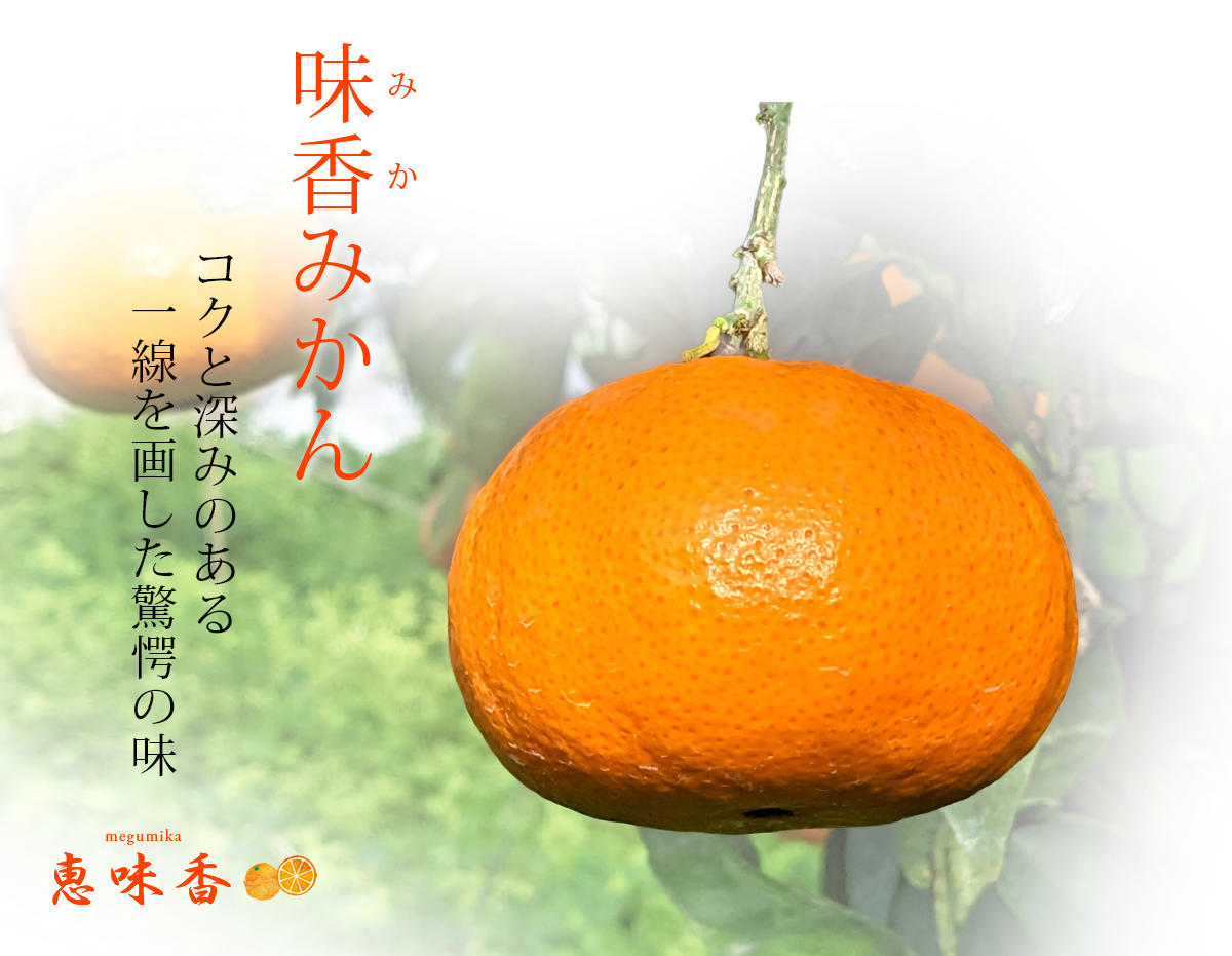 ミカン様 hamasaki-25kg_000.jpg