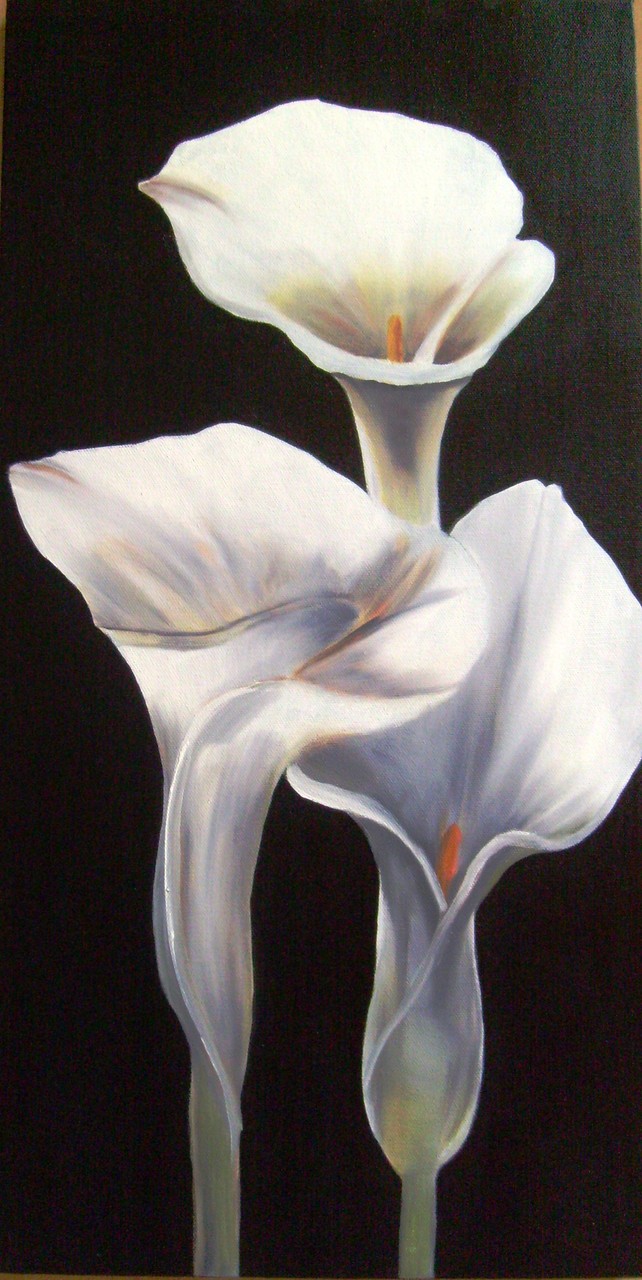 Callas, Öl