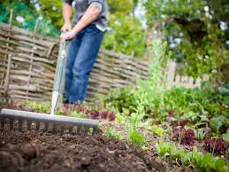 Cómo cambiar a "Jardinería sin cavar"