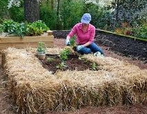 Bale raised bed with room to sit & plant