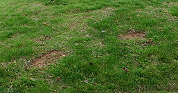 Grass on a Steep slope eroded by footfall