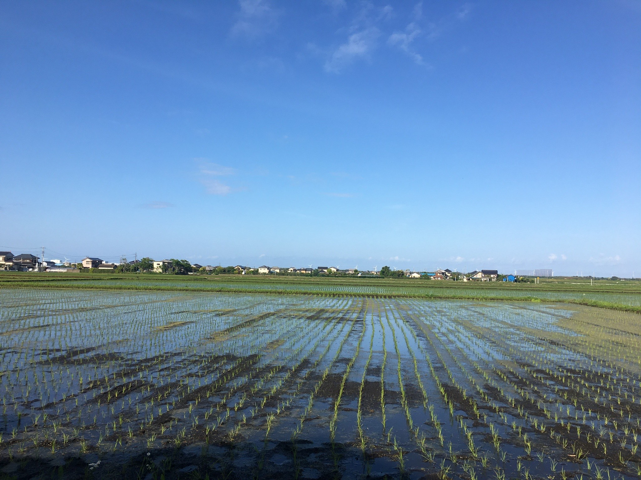 古民家カフェ わぁい